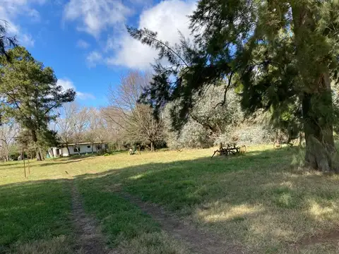 A 6 Km de la Ruta N°3 y a 8 Km de la ciudad de Las Flores