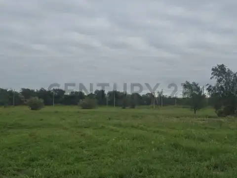 Lote Docta apto comercio