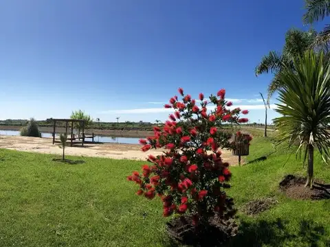 Lote en Venta Club de Campo Campos de La Enriqueta