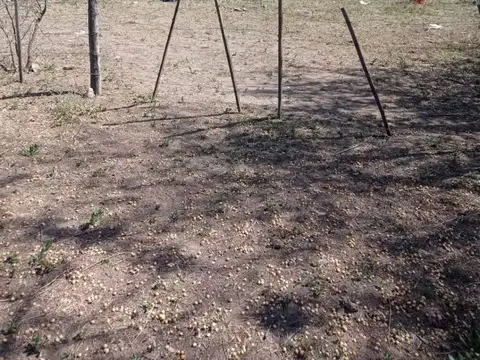 Terreno en Venta 20  mts Frente