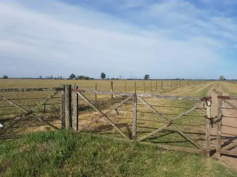 Campo en Perez