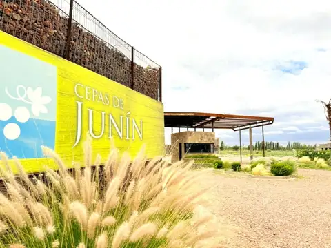 VENTA CASA BARRIO CEPAS DE JUNIN MENDOZA
