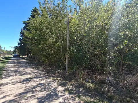 Terreno en Venta, FOS 60