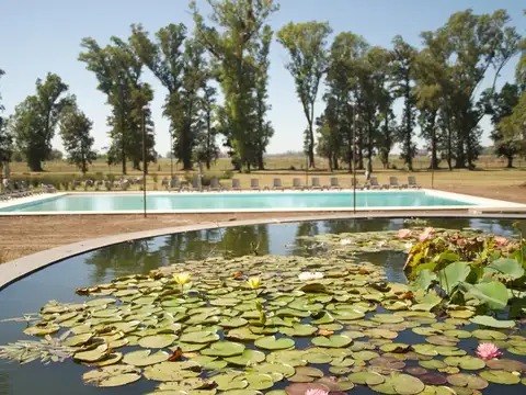 Destacado lote en BARRIO TRES PINOS- Gral Rodriguez