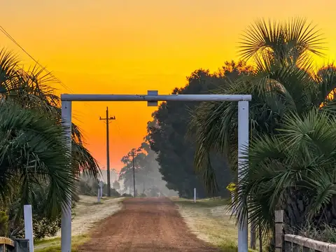 Chacra en Venta en Punta Ballena