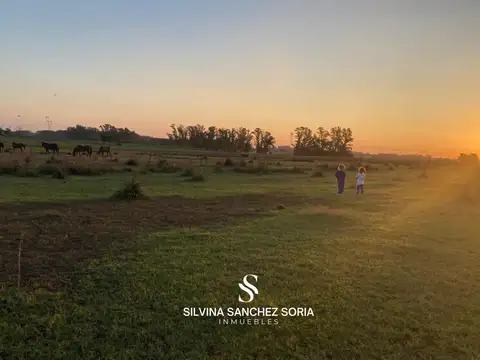 4 HAS EN VENTA, LOS CARDALES