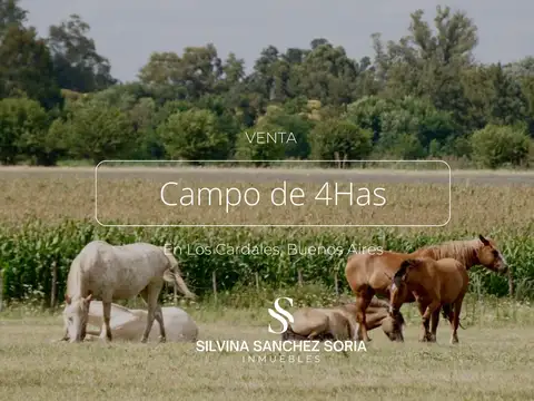 4 HAS EN VENTA, LOS CARDALES