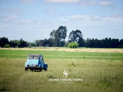 4 HAS EN VENTA, LOS CARDALES