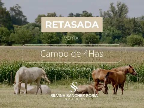 4 HAS EN VENTA, LOS CARDALES