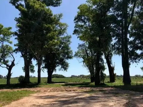 Terreno en Venta en Los Tres Pinos, USD 26.000