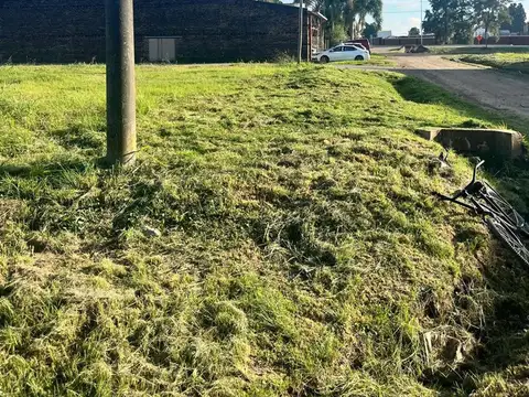 Dalmacio Vélez Sársfield