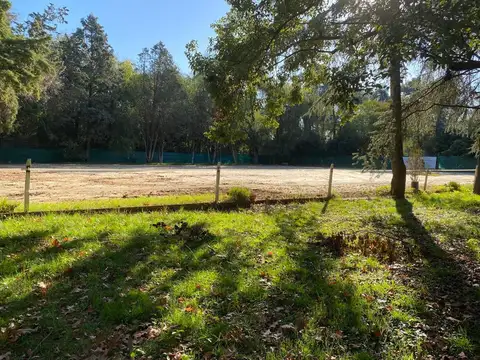 Luis Maria Drago 500