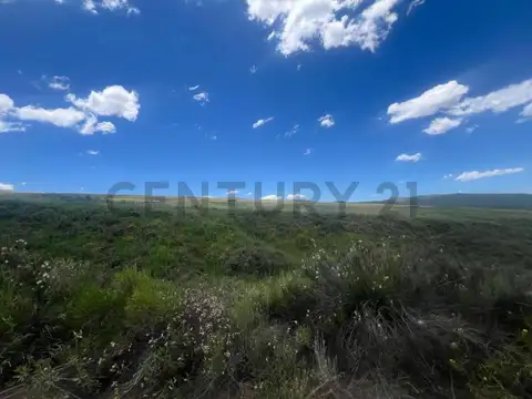Terreno en Venta de 61506,0 m2