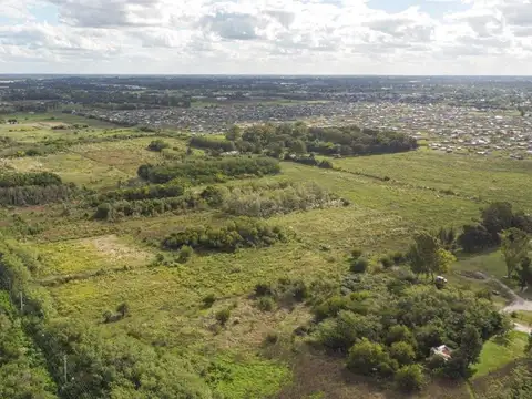 CAMPO EN VENTA ARANA DE 25,38 HA