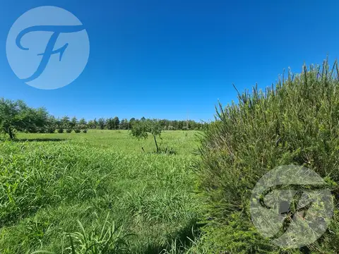 Terreno en Venta de 1016,0 m2