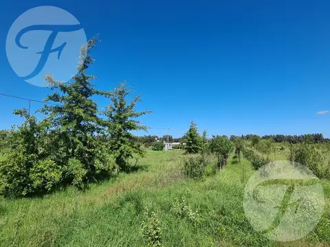 Terreno en Venta 27  mts Frente