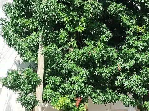 PH en Venta en San Isidro Altos de la Horqueta, San Isidro