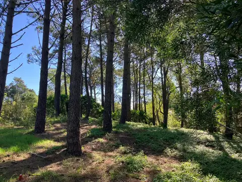 Terreno en Venta en Mar de las Pampas, Partido de Villa Gesell