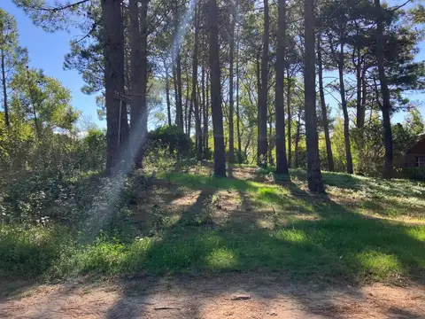 Terreno en Venta 15  mts Frente