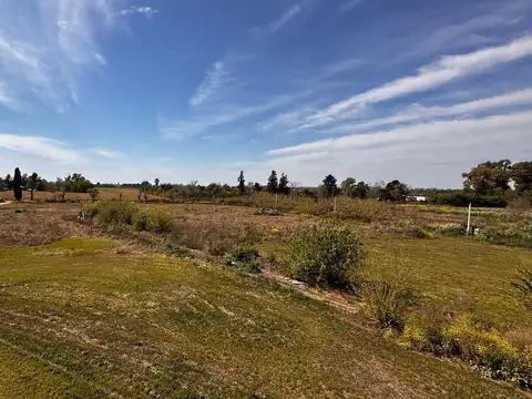 Terreno en Venta de 7979,0 m2