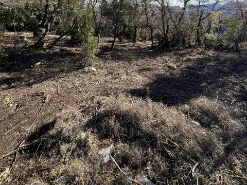 Terreno en Venta de 5000,0 m2
