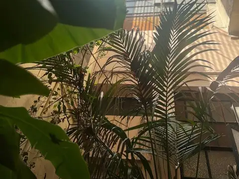 Departamento en Venta de 5 ambientes