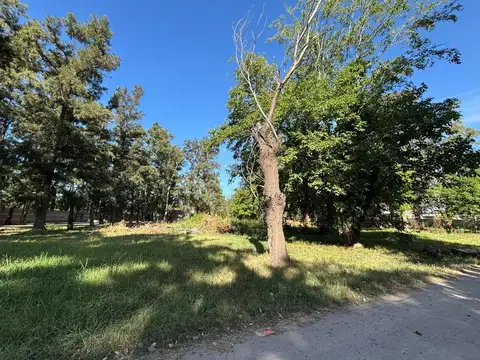 LOS ZORZALES ESQ LAS GOLONDRINAS ALTOS DEL MONTE