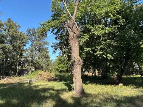 Terreno en Venta en Moreno, USD 74.000