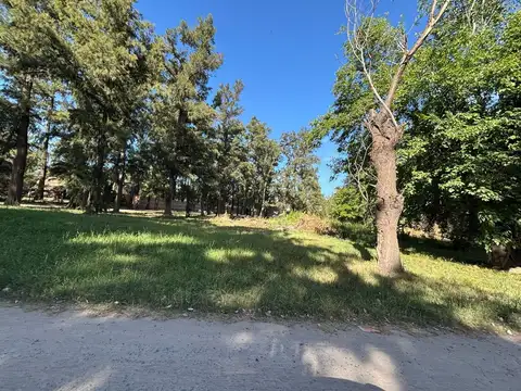 LOS ZORZALES ESQ LAS GOLONDRINAS ALTOS DEL MONTE