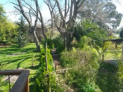 Terreno Lote  en Venta en Castelli, Resto de la Provincia, Buenos Aires