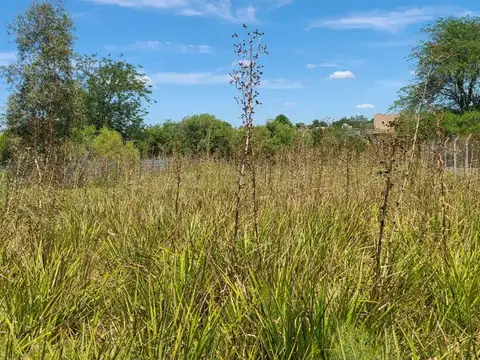 Terreno en Venta de 1100,0 m2