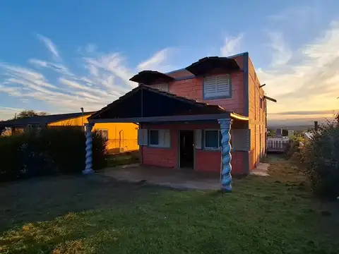 Nonpalidece 100