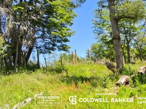 Terreno en Venta 12  mts Frente