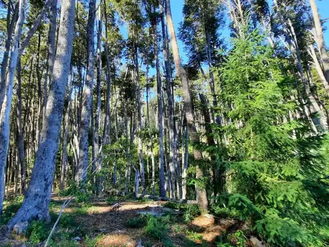 Terreno en Venta de 1768,0 m2