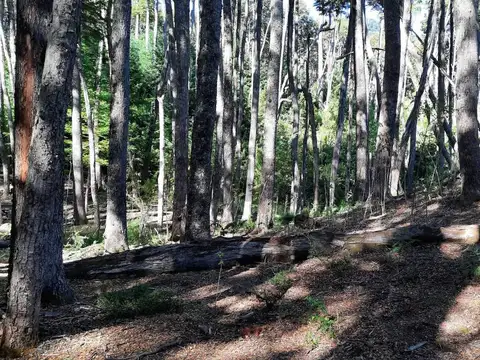 Terreno en Venta en Villa la Angostura, USD 84.000