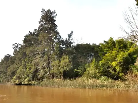 VENTA 13 HECTÁREAS DELTA RÍO PARANÁ SAN FERNANDO