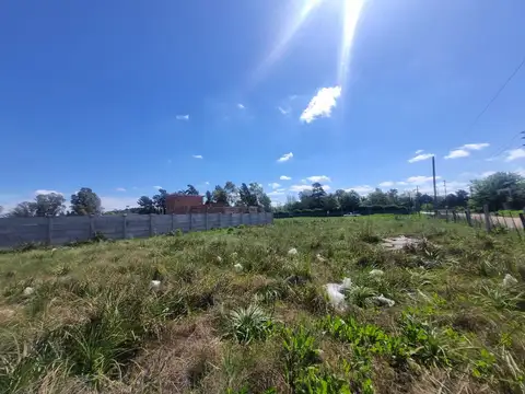 Luis De Camoens y General Savio