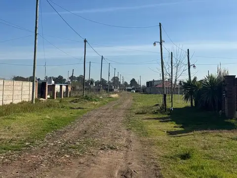 Las Margaritas y Niza
