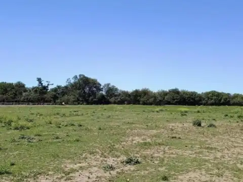 TERRENO EN FALDA DEL CARMEN CORDOBA