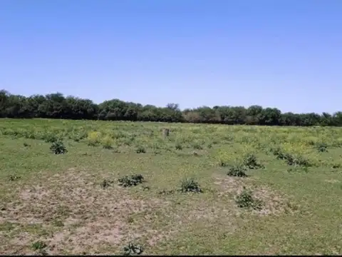 Terreno en Venta de 7019,0 m2