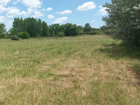 CAMPO EN VENTA