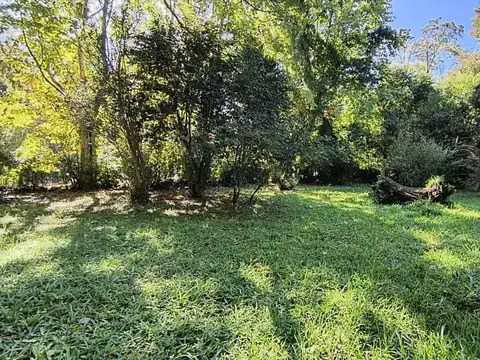 Rio o Arroyo Felicaria El Porvenir 100