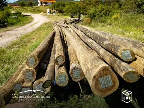 Lote en Segunda Usina - Dique Nivelador 100