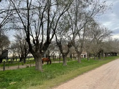 2 has s/asfalto casa servicios arboleda tranquilidad