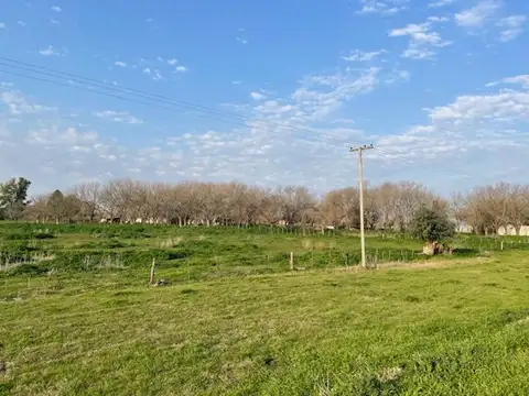 Campo en Venta de 2  ha