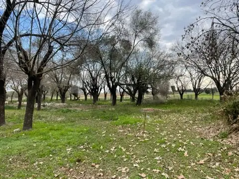 Campo en Venta Chacra