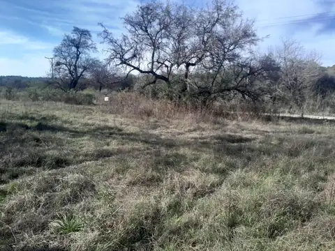 Venta terreno 30.000 m2