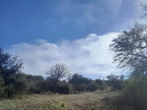 Av La Blanqueada al 700
