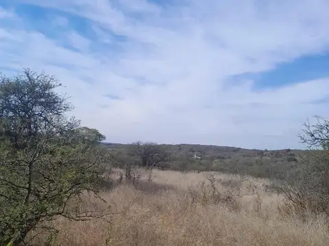 Venta terreno 30.000 m2