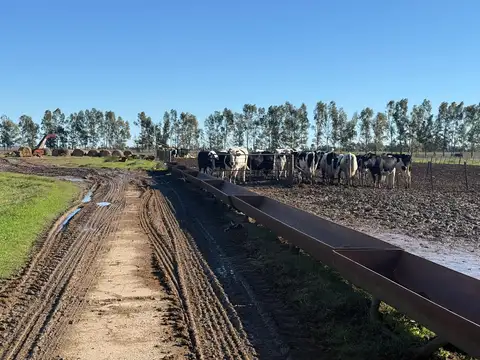 Cuartel V, Ranchos, Gral. Paz Provincia de Buenos Aires - Lat.-35.406750, Long:-58.519928